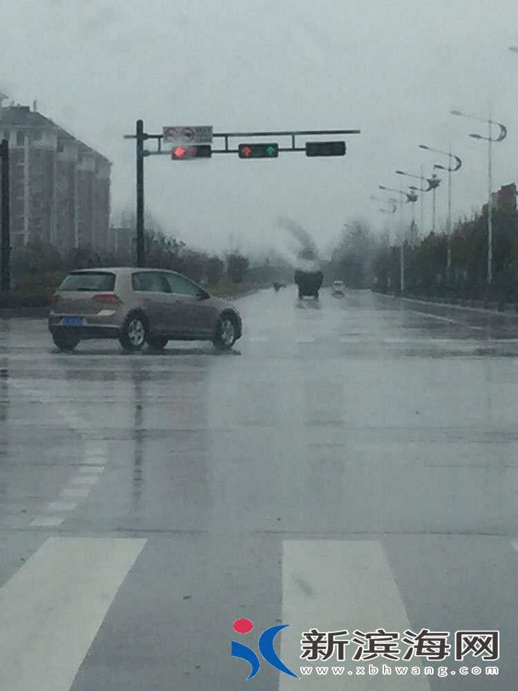 file.jpg