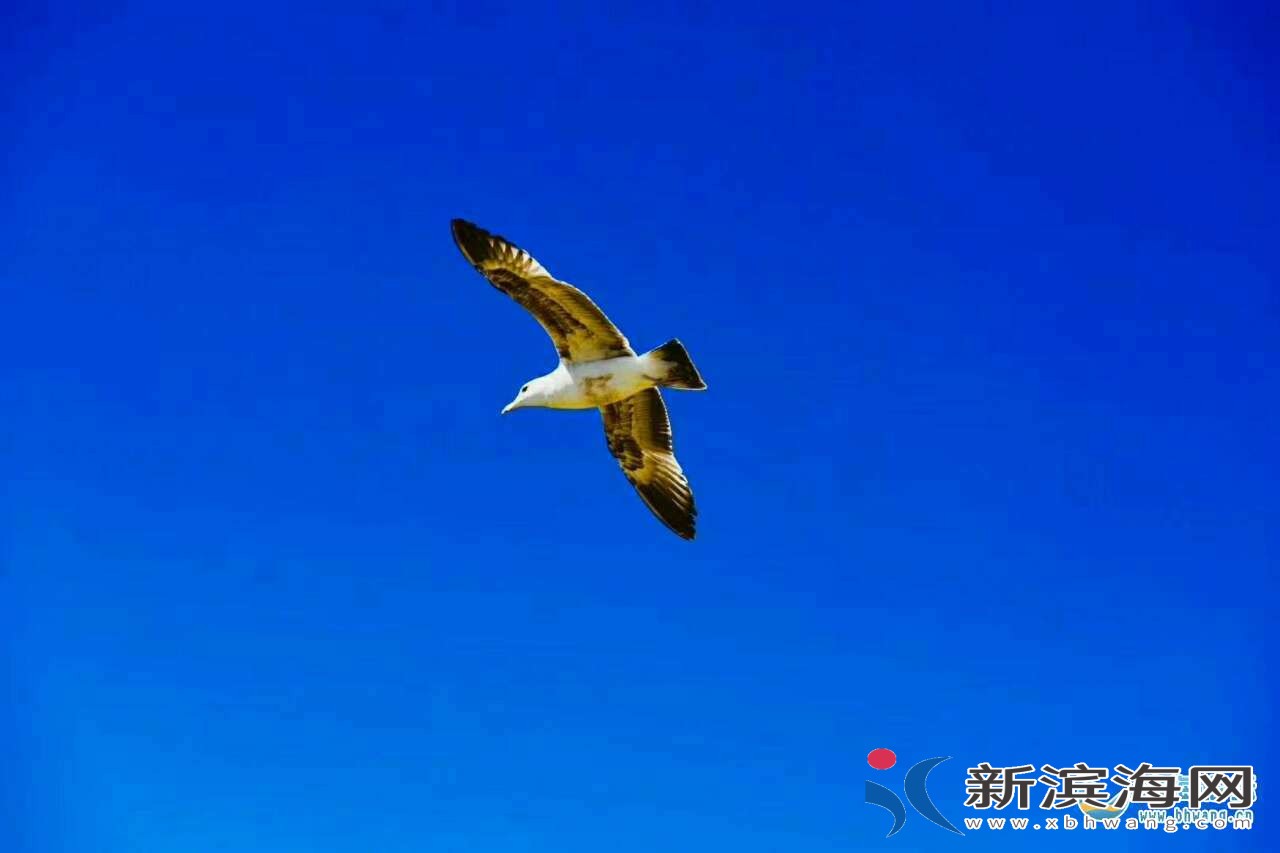 20180320_44190_1521527657856.jpg