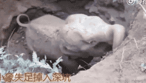 134205w5z18i5irppp8u9p.gif