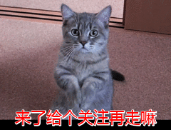 20180424_49228_1524557726617.gif