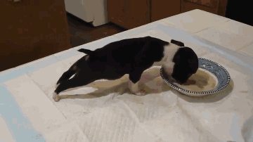 20180617_45669_1529192461116.gif