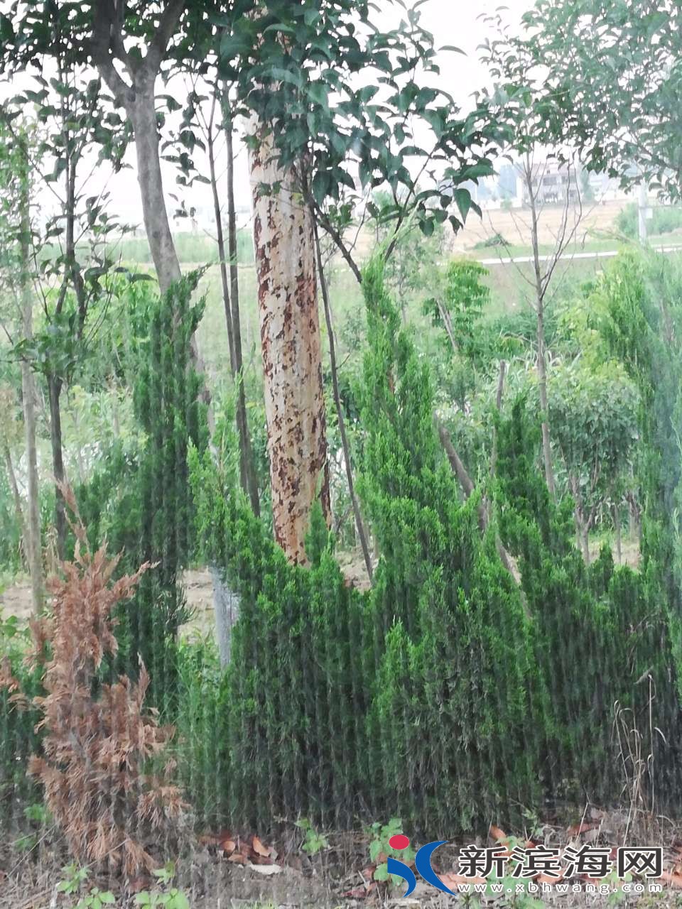 20180620_54348_1529471550466.jpg