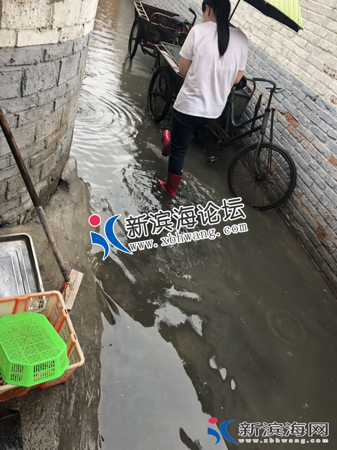 微信图片_20180620184848.jpg