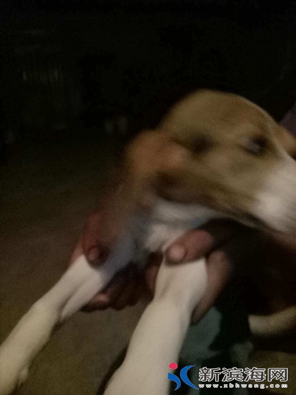 20180705_46163_1530773695769.jpg