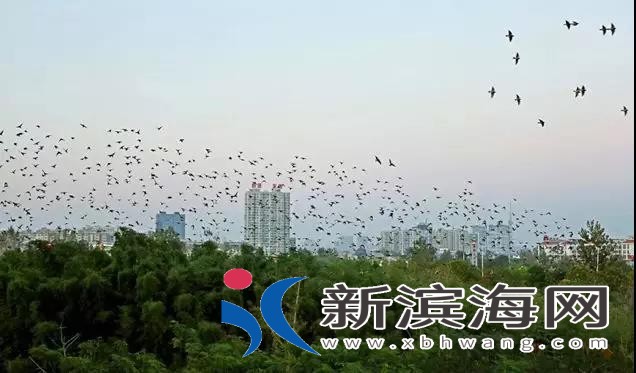 微信图片_20180707140726.jpg
