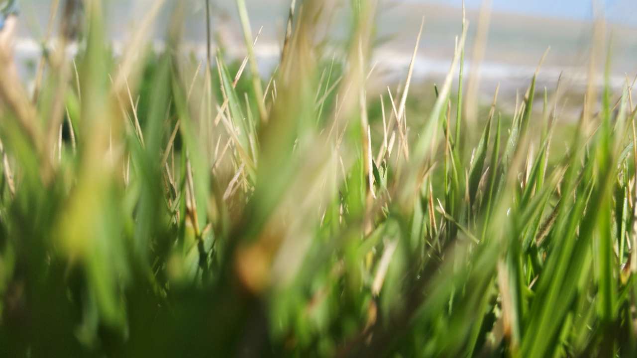 20180730_59600_1532933620114.jpg