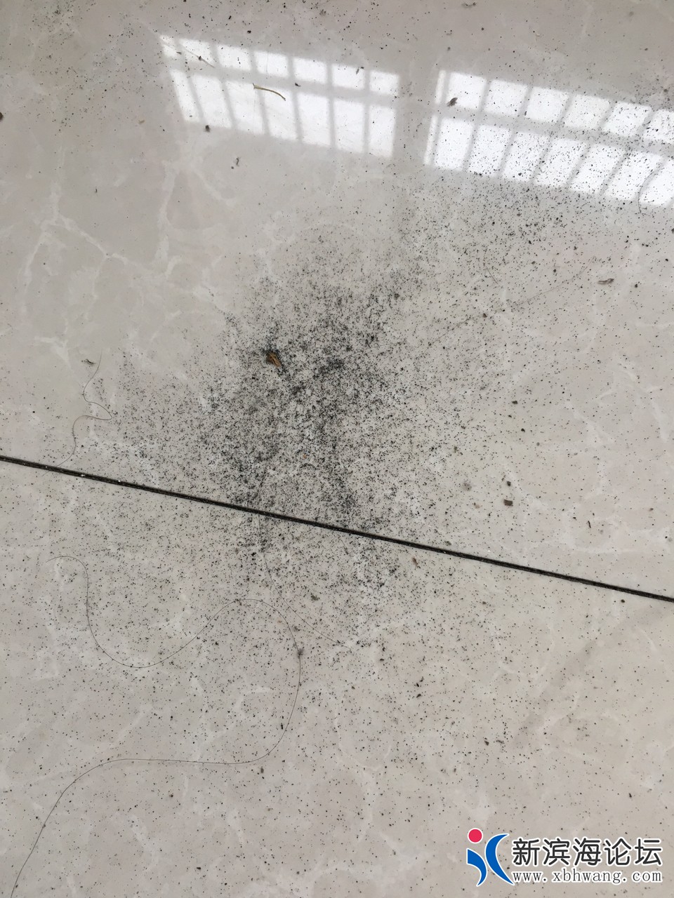20180819378551534637560637948.jpg