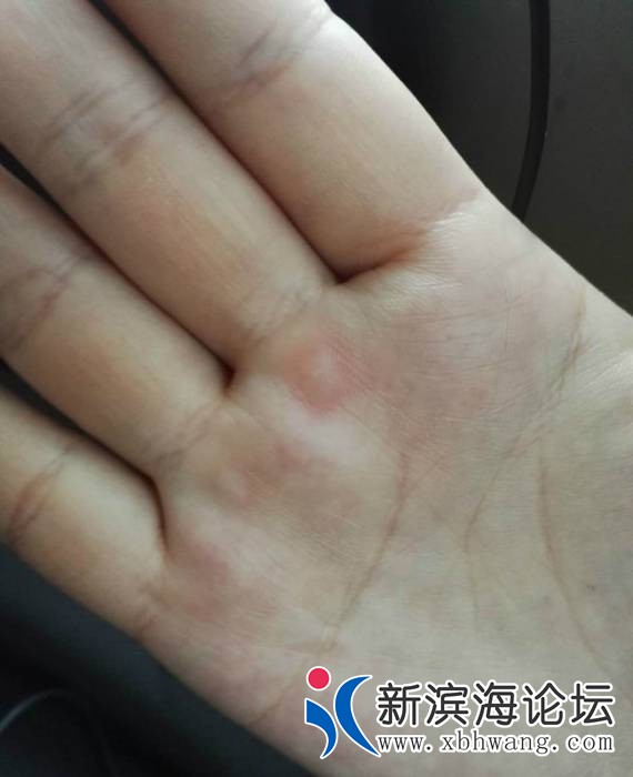 110311x8zujp7b12821zu9.jpg.thumb.jpg