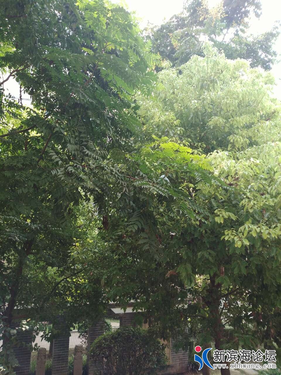 20180923_45591_1537687461825.jpg