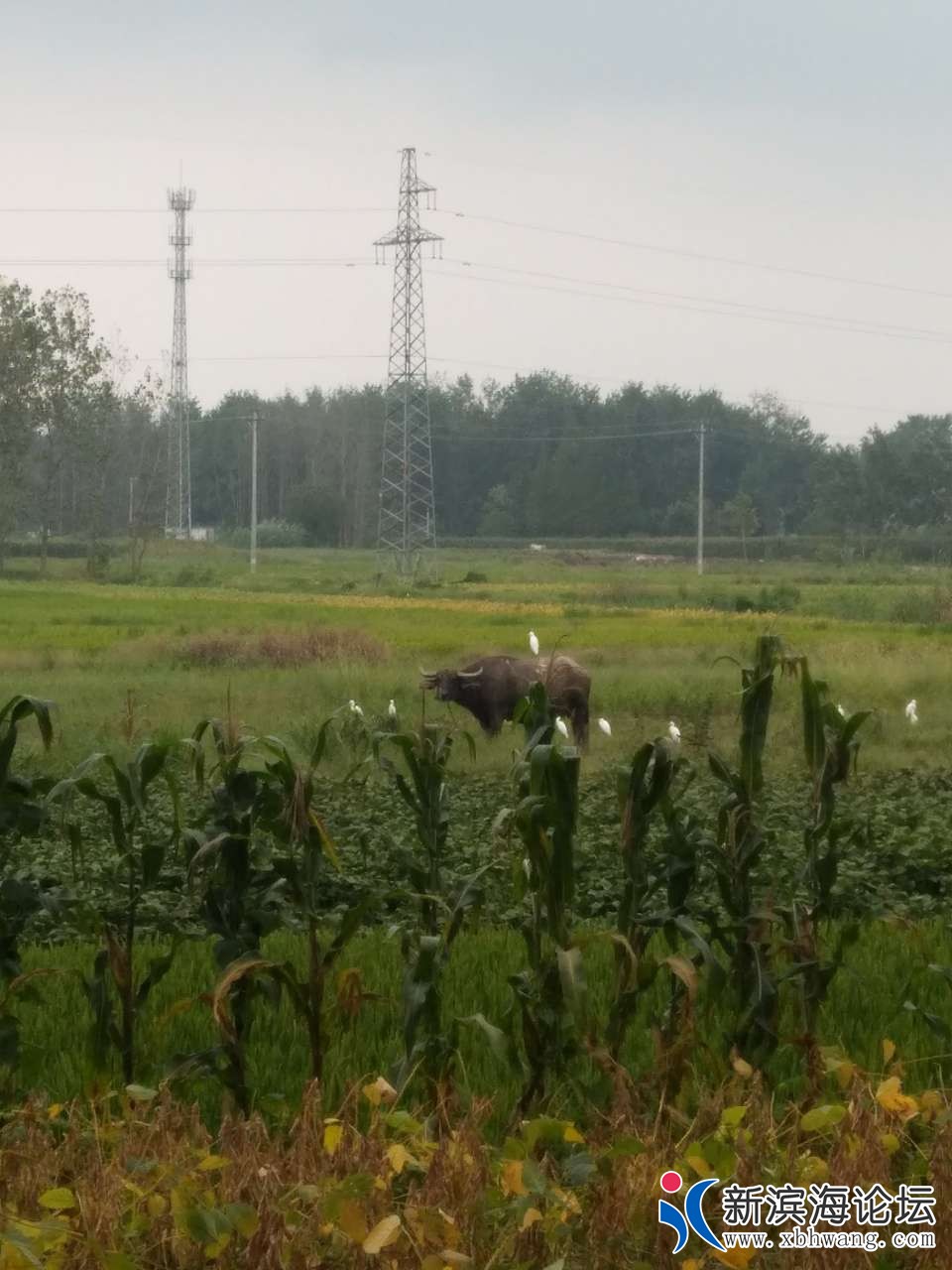 20180923_56387_1537704889149.jpg