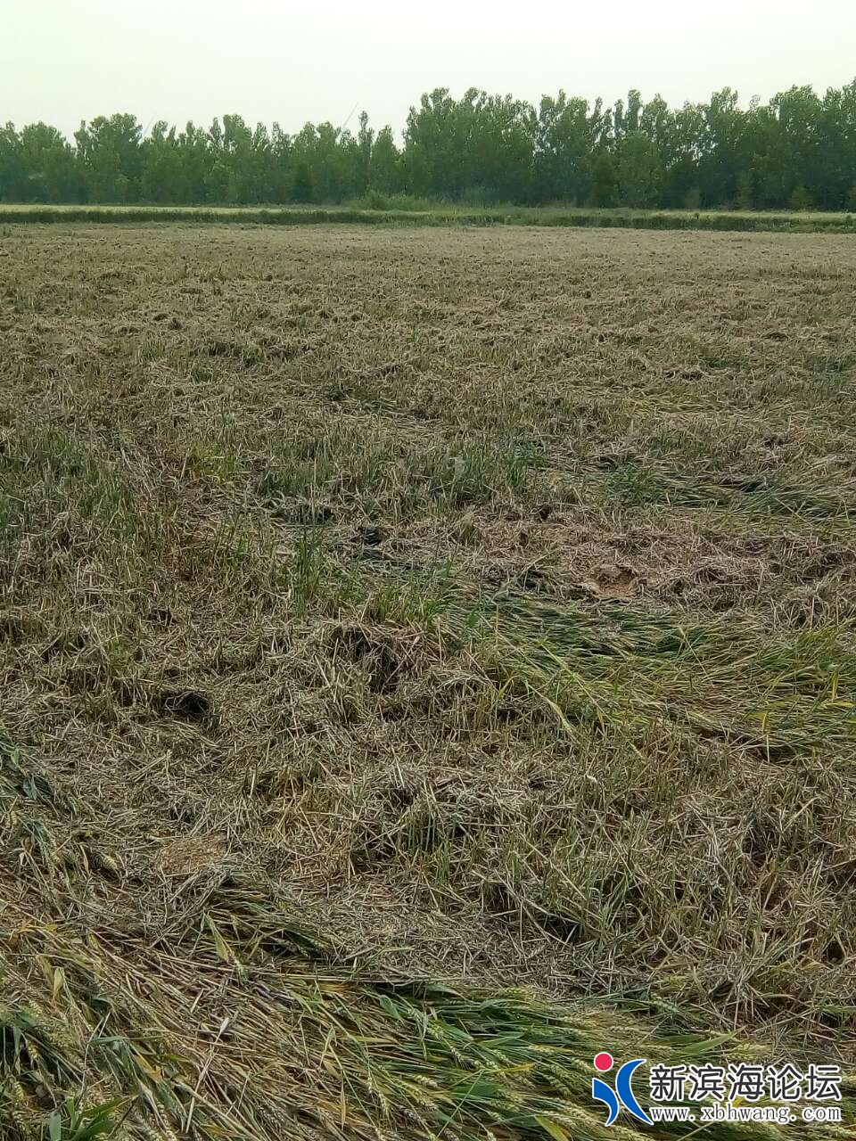 20180929_57067_1538232224531.jpg