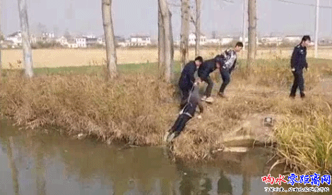 微信图片_20181111112643.gif