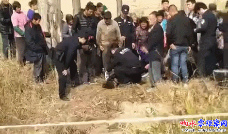 微信图片_20181111112646.gif