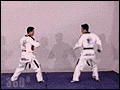 20181217_50741_1545042481505.gif