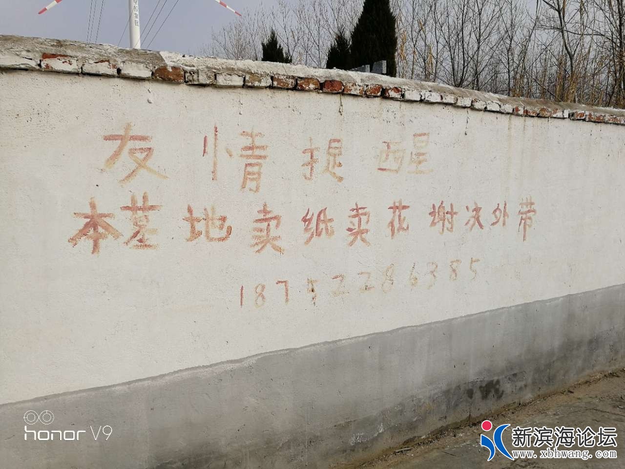 155359pw2s0wdbd82mso0k.jpg