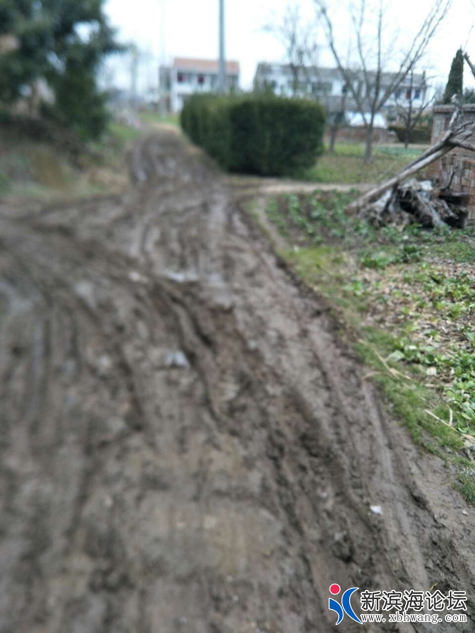 20190213_56110_1550062667766.jpg