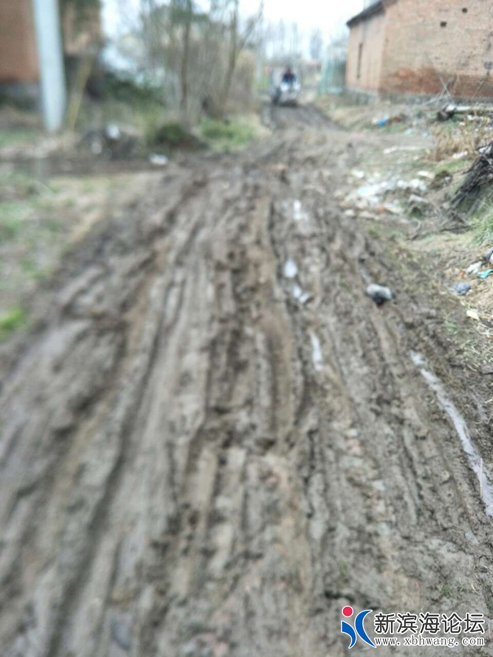 20190213_56110_1550062667375.jpg