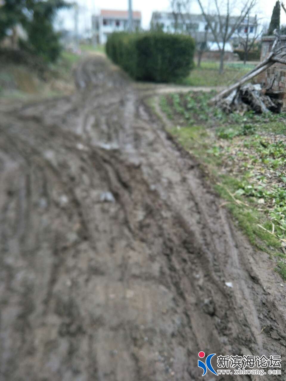 20190213_56110_1550062668137.jpg