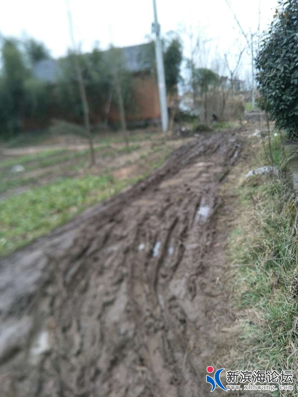 20190213_56110_1550062668504.jpg
