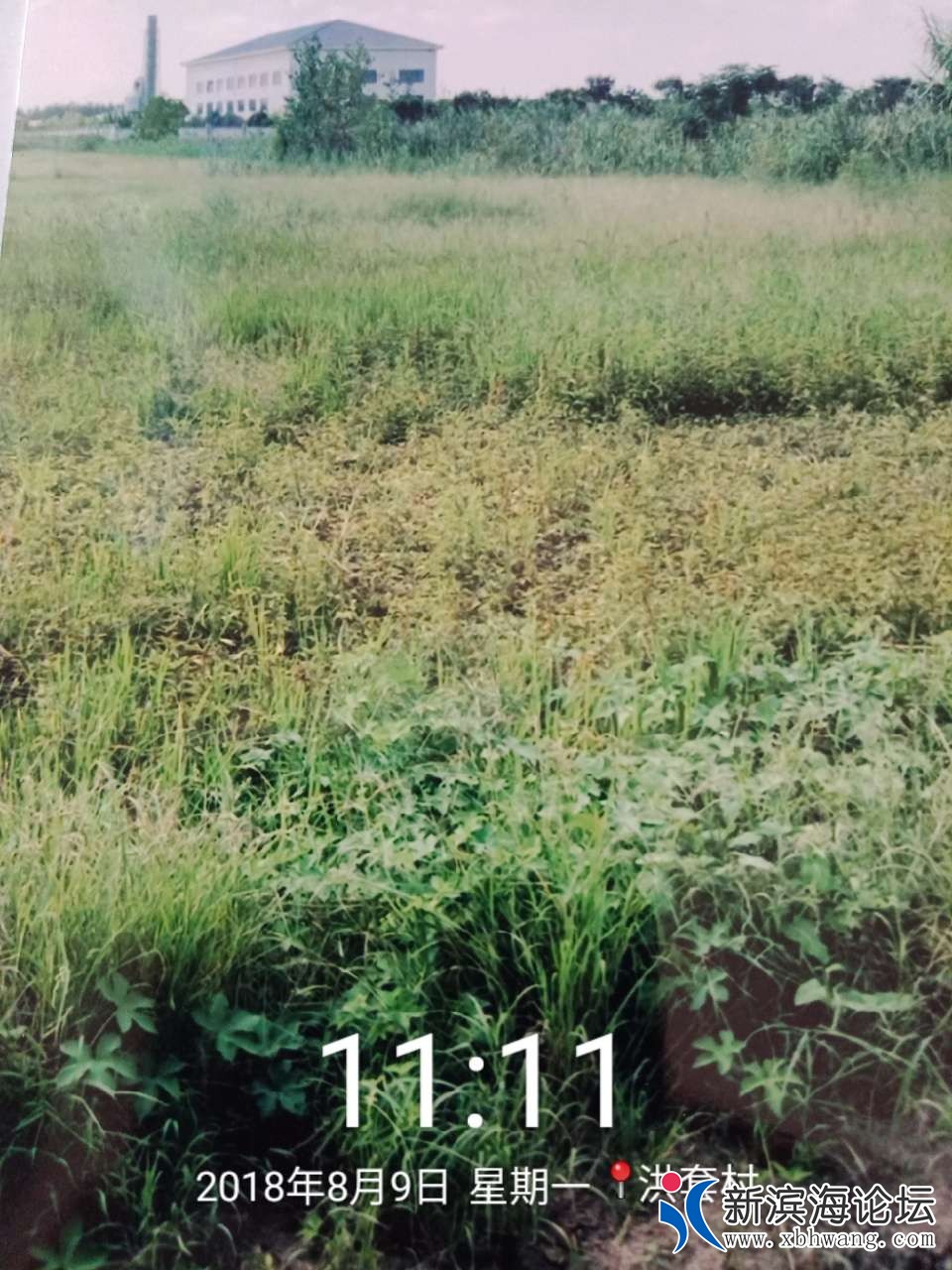 080020ryy7y99a6yz979ht.jpg