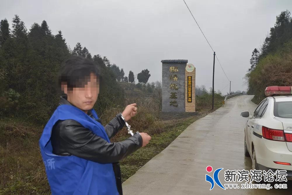 微信图片_20190221134227.jpg