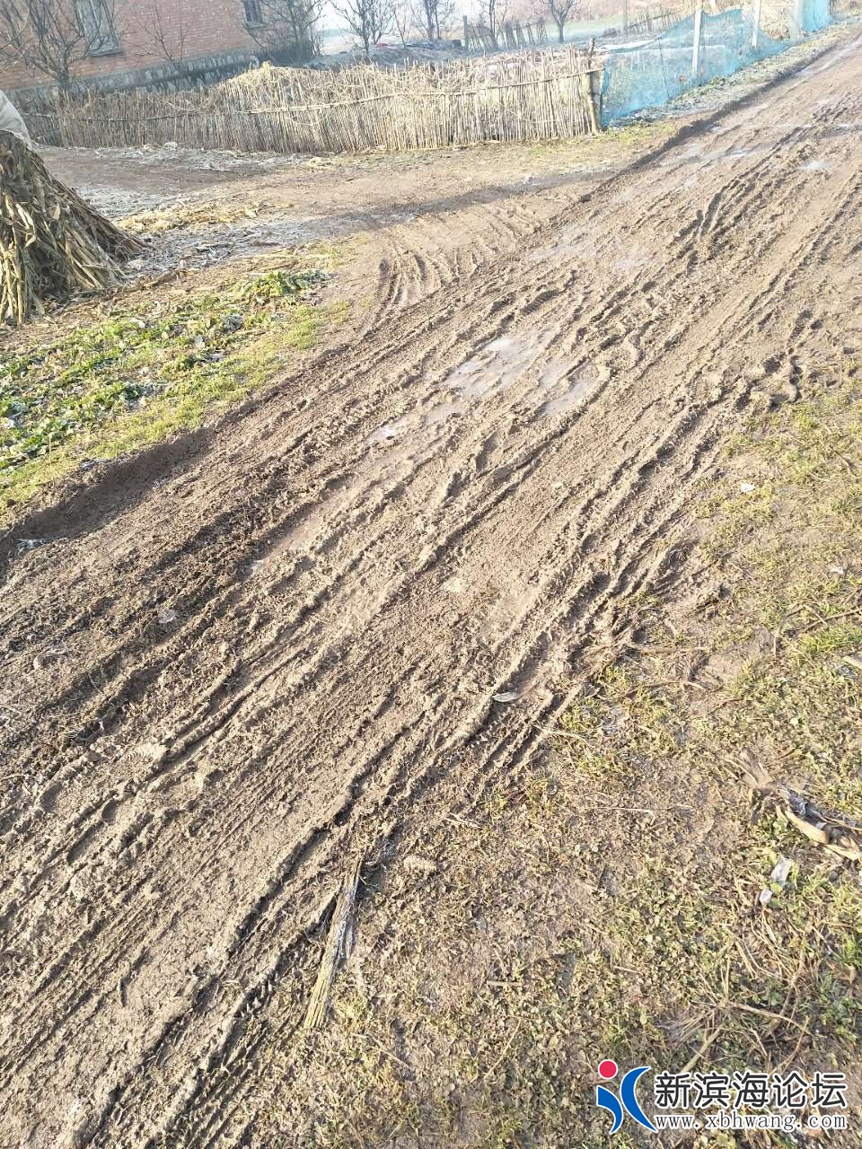 20190302_60064_1551486751159.jpg