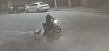 20190308_15974_1552033016534.gif