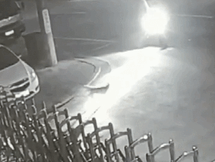 20190308_15974_1552033016547.gif