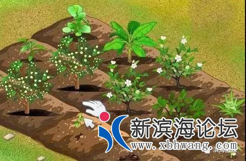 微信图片_20190318094420.jpg