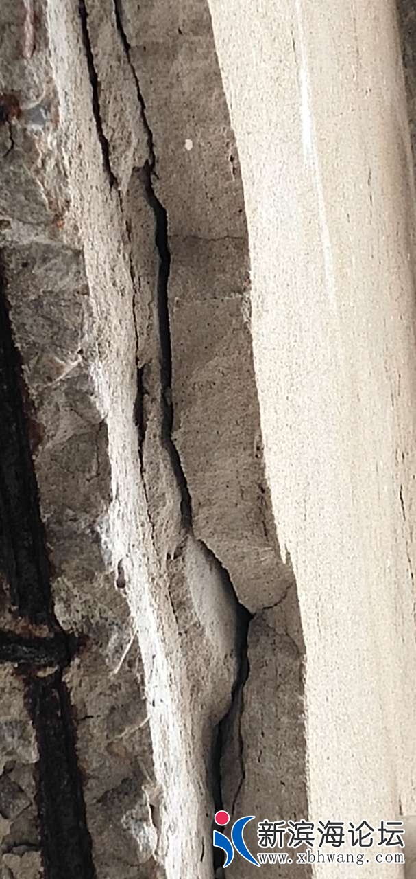 20190318_64632_1552876835257.jpg