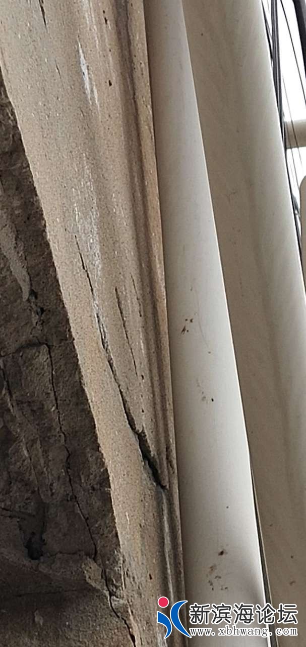 20190318_64632_1552876835118.jpg