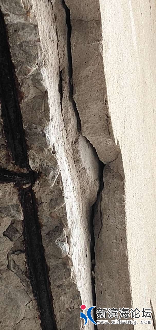 20190318_64632_1552876834969.jpg