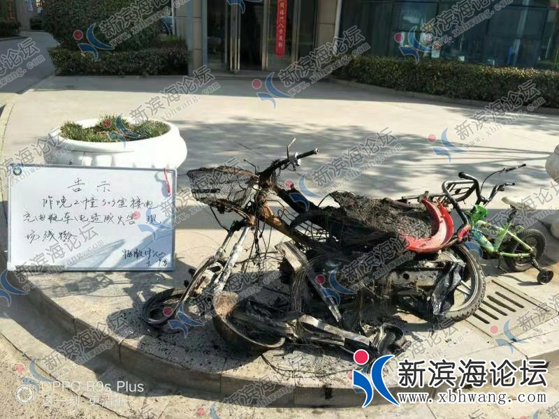 微信图片_20190319132656.jpg