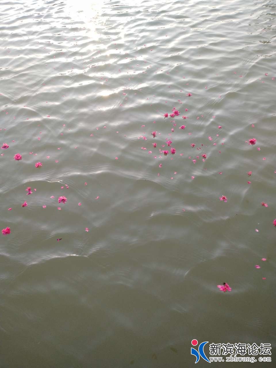 20190408_63777_1554715472049.jpg