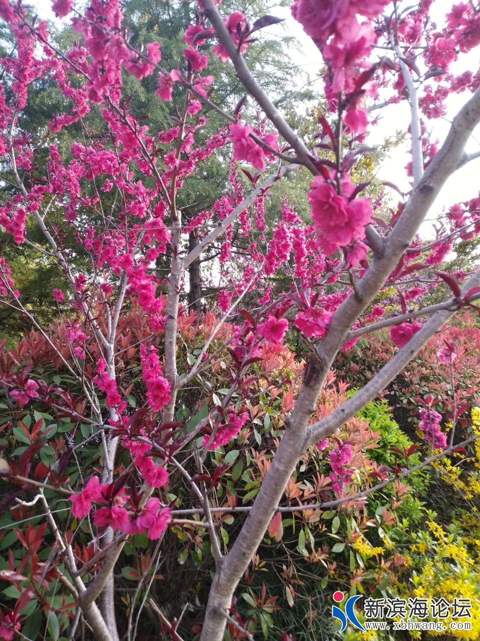 20190408_63777_1554715474262.jpg