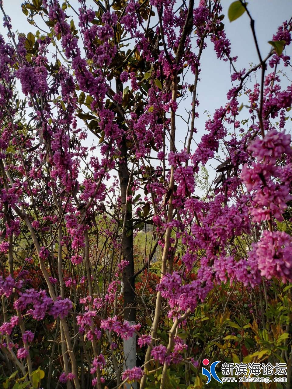 20190408_63777_1554715956389.jpg