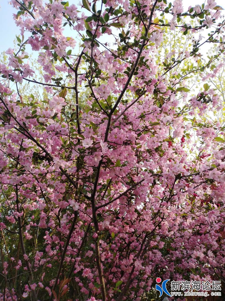 20190408_63777_1554717425851.jpg