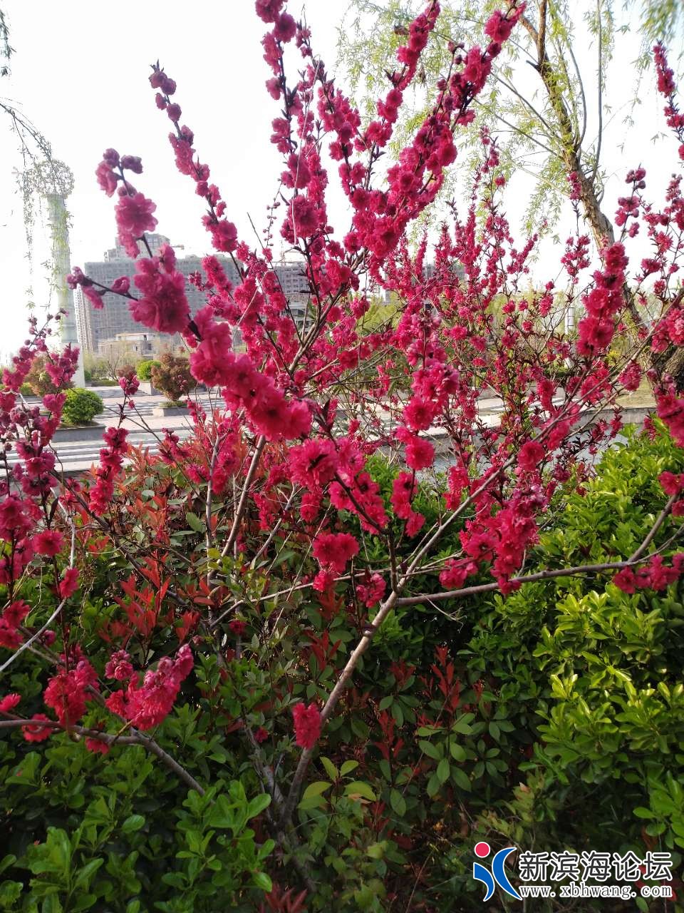 20190408_63777_1554717425396.jpg