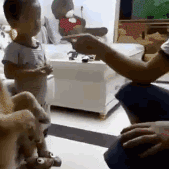 20190409_62004_1554810115765.gif