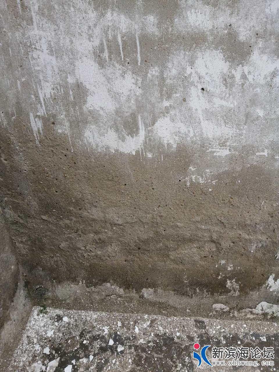 20190411_58445_1554944747153.jpg