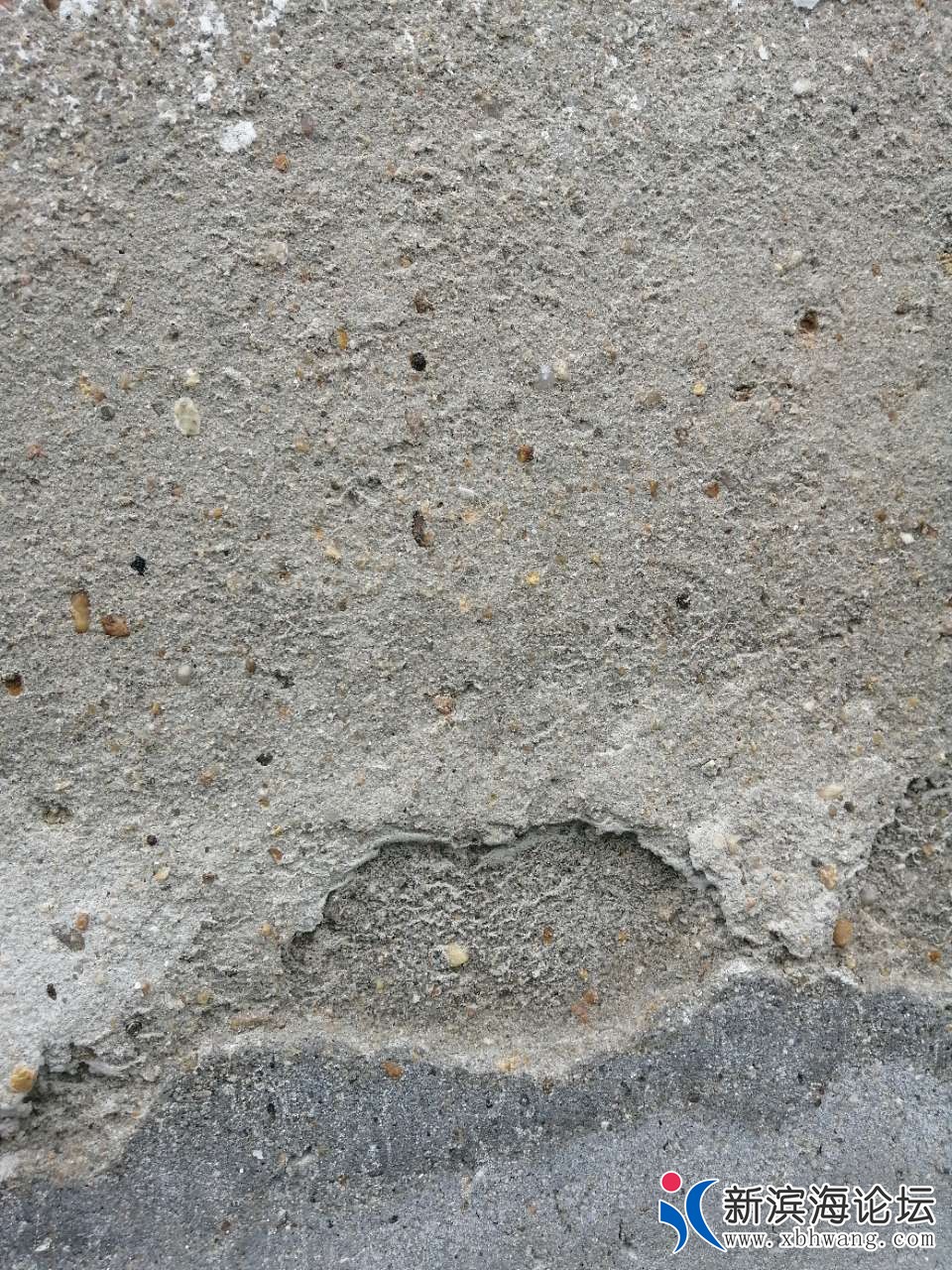 20190411_58445_1554953802447.jpg