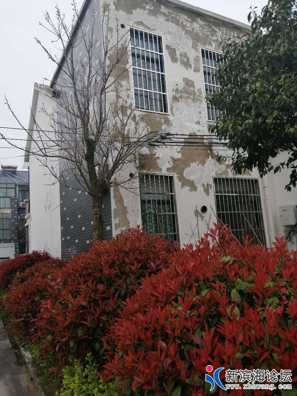 20190411_58445_1554953804501.jpg