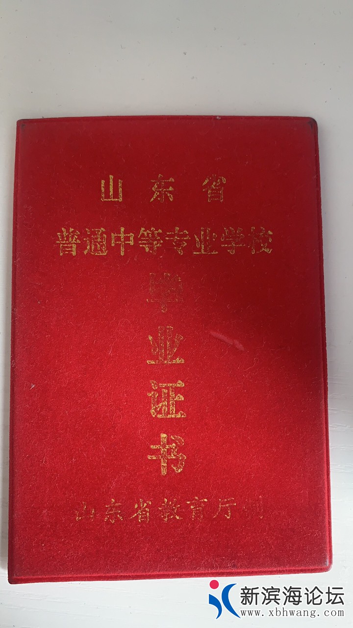 20190412510771555040929003107.jpg