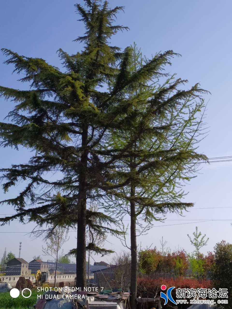 20190414_47940_1555231600309.jpg