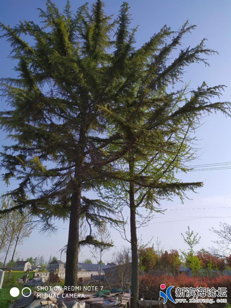 20190414_47940_1555231600663.jpg