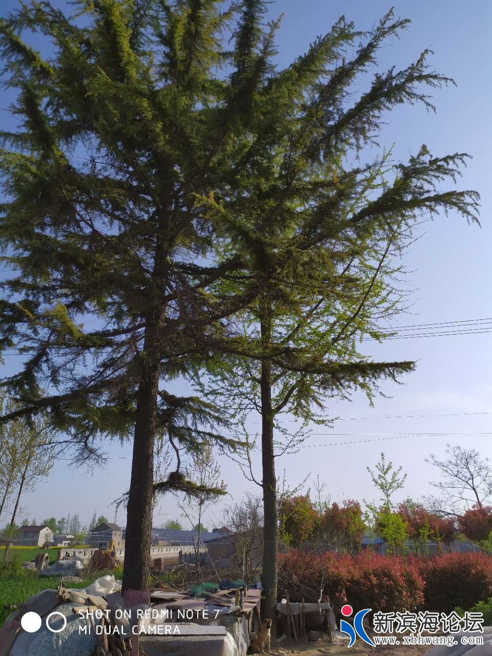 20190414_47940_1555231601075.jpg