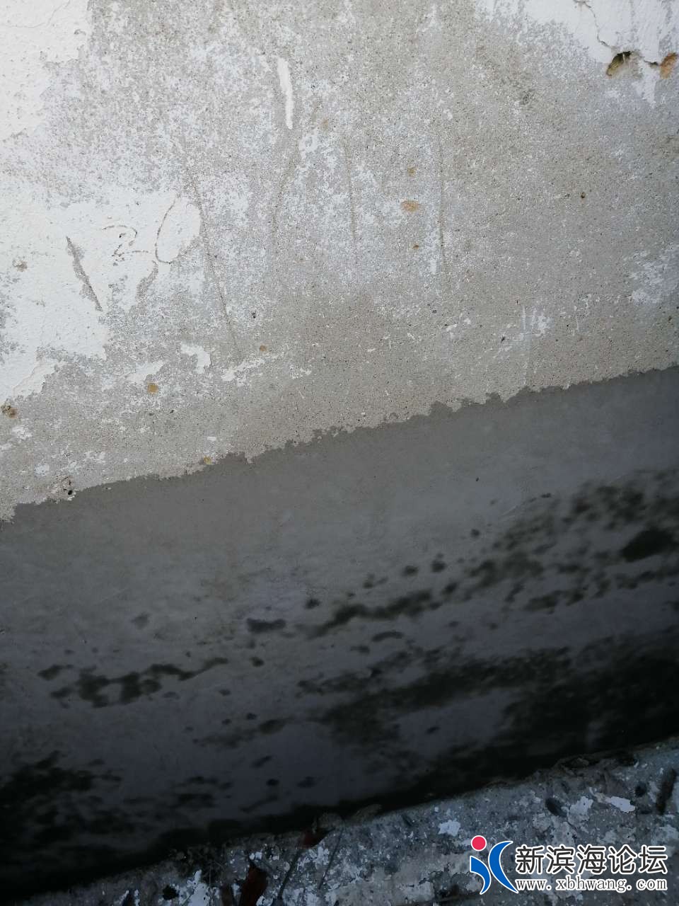 20190414_58445_1555244305251.jpg