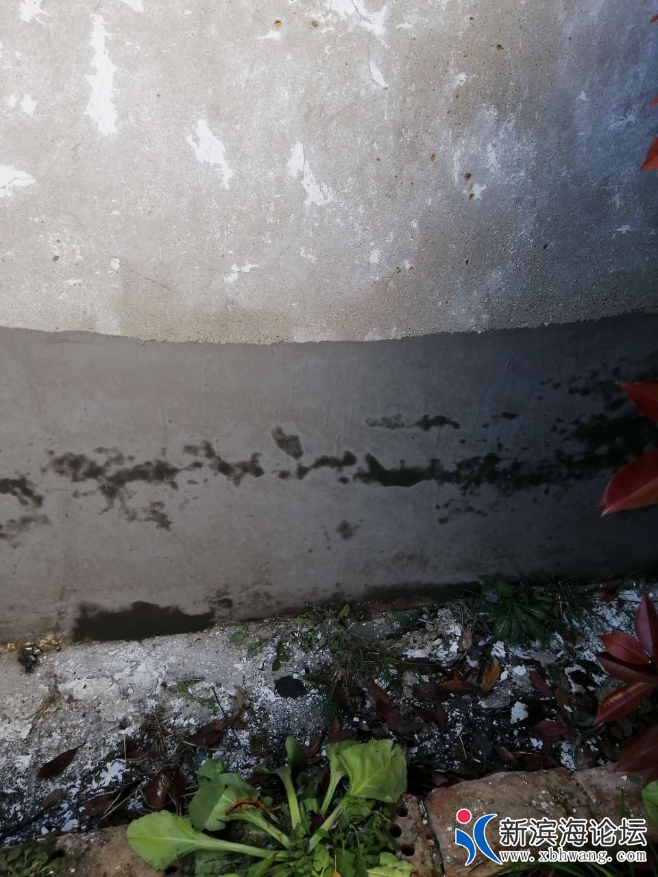 20190414_58445_1555244305879.jpg