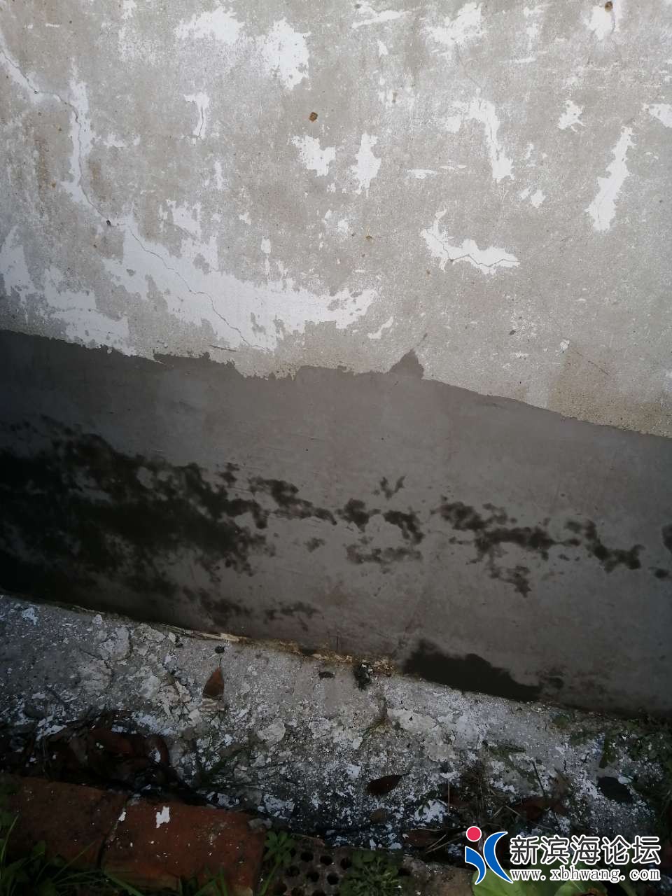 20190414_58445_1555244305604.jpg
