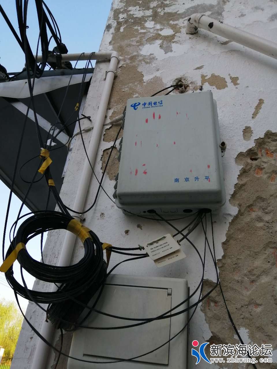 20190414_58445_1555244306737.jpg